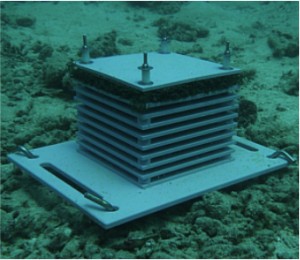 An Autonomous Reef Monitoring Structure
