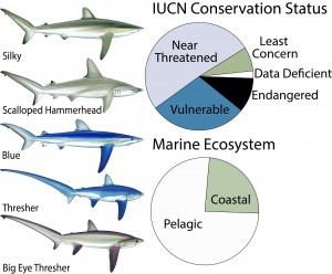 Sembering et al 2014